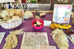 Amanda Schaefer crochetier/fiber artist of Hamptons Yarn Eastern Long Island Mini Maker Faire 2016