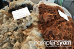 Amanda Schaefer crochetier/fiber artist of Hamptons Yarn Eastern Long Island Mini Maker Faire 2016